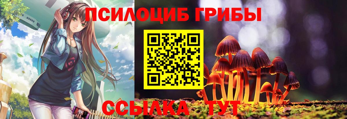Псилоцибиновые грибы MAGIC MUSHROOMS  Галлюциногенные грибы Cubensis  Вход с VPN  Азнакаево 